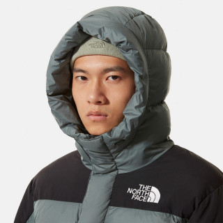 THE NORTH FACE HIMALAYAN DOWN PARKA 