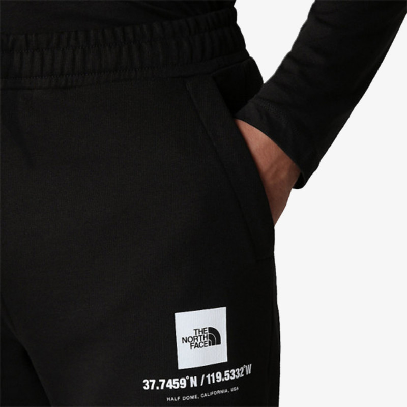 The North Face Men’s Coordinates Short - Eu 
