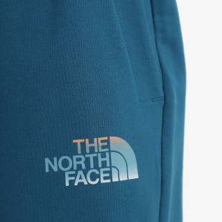 The North Face Men’s D2 Graphic Short - Eu 