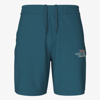 The North Face Men’s D2 Graphic Short - Eu 