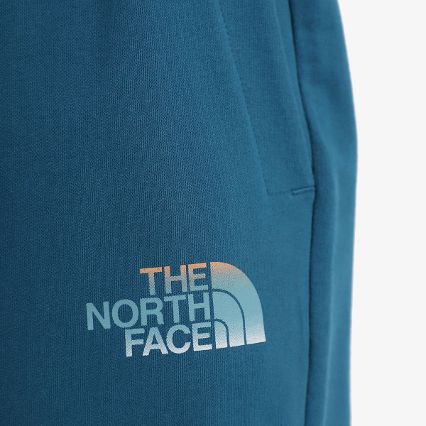 The North Face Men’s D2 Graphic Short - Eu 