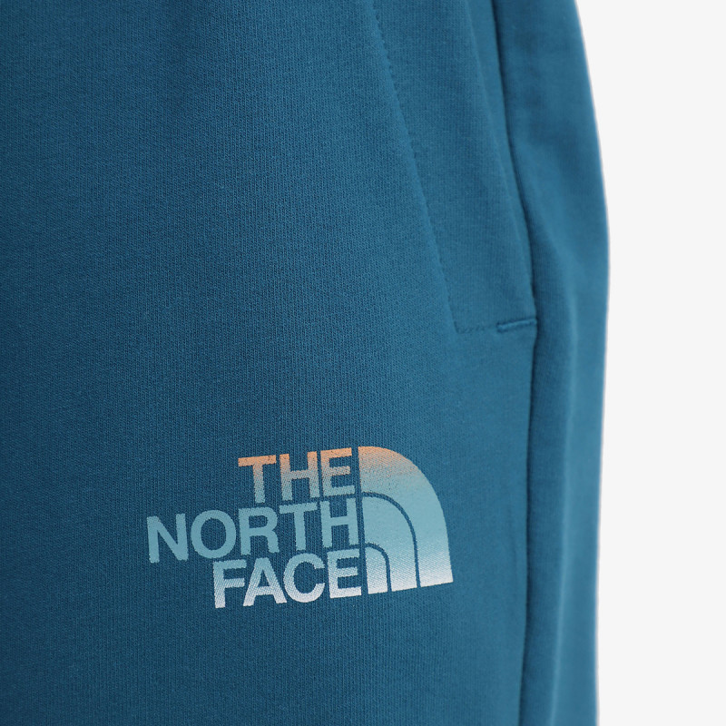 The North Face Men’s D2 Graphic Short - Eu 