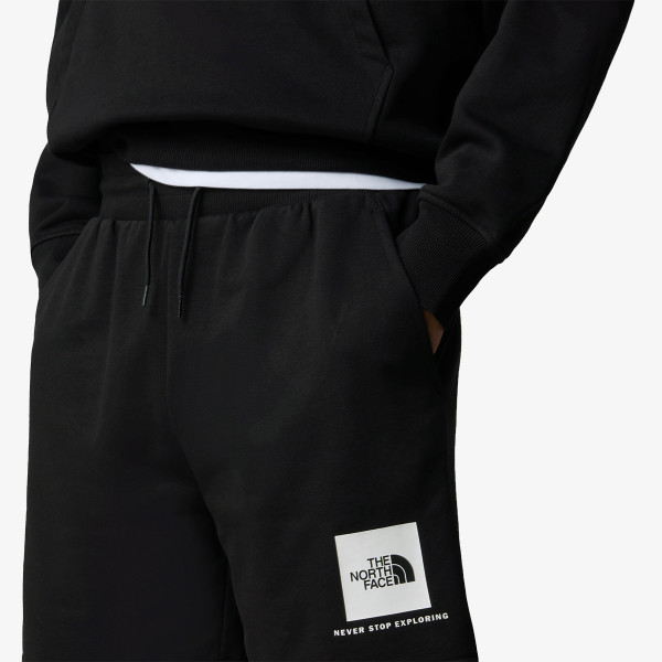 The North Face Men’s Box Nse Regular Short 