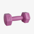 Ring Sport RX PD-1 BUCICA 1X1 KG PLASTICNA 
