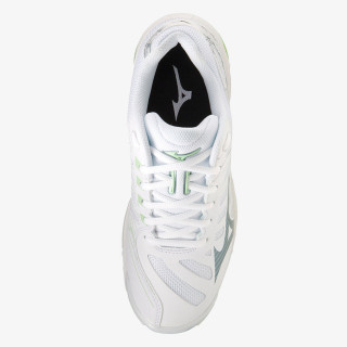 Mizuno WAVE VOLTAGE 